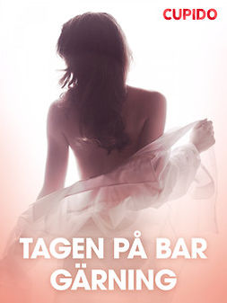 Cupido - Tagen pa bar garning - erotiska noveller, ebook