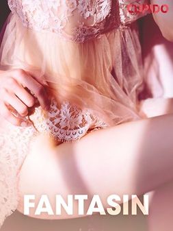 Gustafsson, Johan - Fantasin - erotiska noveller, e-kirja