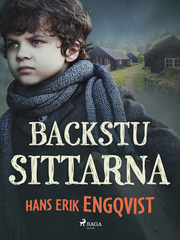 Engqvist, Hans Erik - Backstusittarna, e-bok