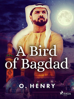 Henry, O. - A Bird of Bagdad, e-kirja