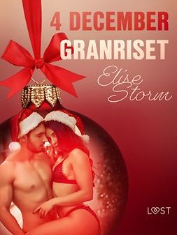 Storm, Elise - 4 december: Granriset - en erotisk julkalender, e-kirja