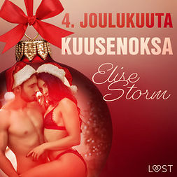 Storm, Elise - 4. joulukuuta: Kuusenoksa - eroottinen joulukalenteri, audiobook