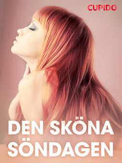 Gustafsson, Johan - Den sköna söndagen - erotiska noveller, ebook