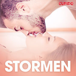 Bohman, Marcus - Stormen - erotiska noveller, audiobook