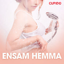 Bohman, Marcus - Ensam hemma - erotiska noveller, audiobook