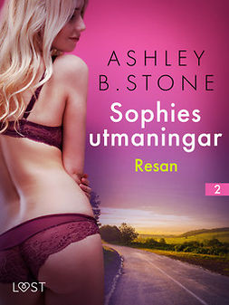 Stone, Ashley B. - Sophies utmaningar 2: Resan - erotisk novell, ebook