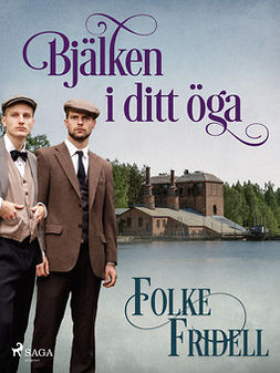 Fridell, Folke - Bjälken i ditt öga, e-bok