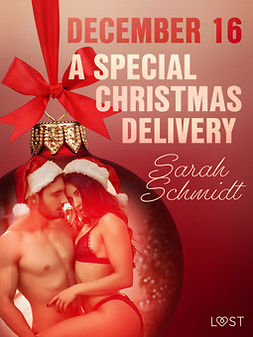 Schmidt, Sarah - December 16: A Special Christmas Delivery - An Erotic Christmas Calendar, e-kirja