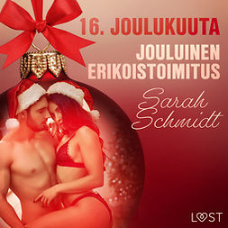 Schmidt, Sarah - 16. joulukuuta: Jouluinen erikoistoimitus - eroottinen joulukalenteri, äänikirja