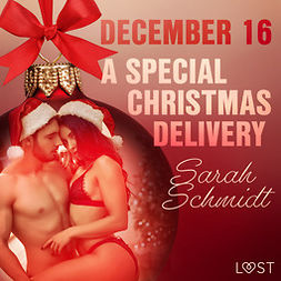 Schmidt, Sarah - December 16: A Special Christmas Delivery - An Erotic Christmas Calendar, äänikirja