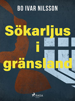 Nilsson, Bo Ivar - Sökarljus i gränsland, ebook