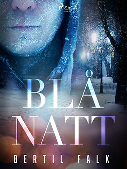 Falk, Bertil - Blå natt, ebook