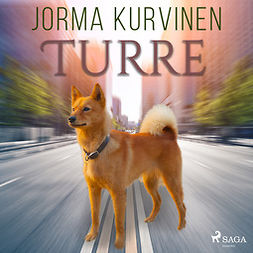Kurvinen, Jorma - Turre, audiobook