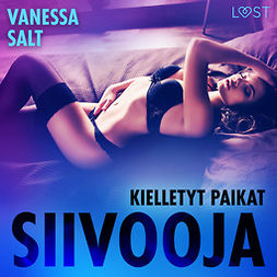 Salt, Vanessa - Kielletyt paikat: Siivooja - eroottinen novelli, audiobook