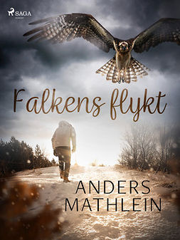 Mathlein, Anders - Falkens flykt, e-kirja