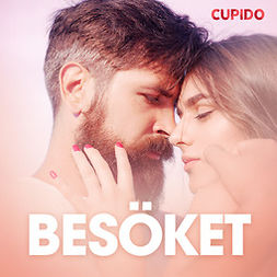 Cupido - Besöket - erotisk novell, audiobook