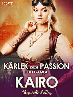 Leroy, Chrystelle - Kärlek och passion i det gamla Kairo - erotisk novell, ebook