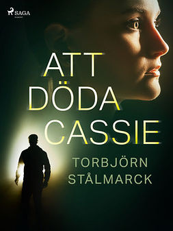 Stålmarck, Torbjörn - Att döda Cassie, ebook