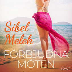Melek, Sibel - Förbjudna möten - erotisk novell, audiobook
