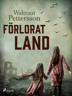 Pettersson, Waltraut - Förlorat land, ebook