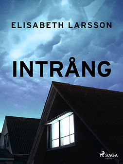 Larsson, Elisabet - Intrång, ebook