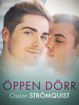Strömquist, Ossian - Öppen dörr - erotisk novell, ebook