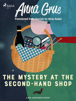 Grue, Anna - The Mystery at the Second-Hand Shop, ebook