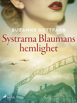 Gottfarb, Suzanne - Systrarna Blaumans hemlighet, e-bok