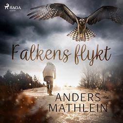 Mathlein, Anders - Falkens flykt, audiobook