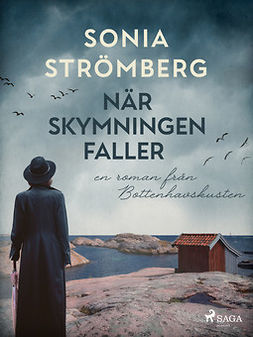 Strömberg, Sonia - När skymningen faller, ebook