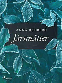 Rudberg, Anna - Järnnätter, e-bok