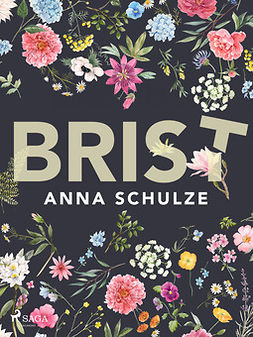 Schulze, Anna - Brist, ebook
