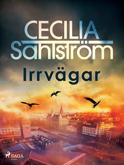 Sahlström, Cecilia - Irrvägar, ebook