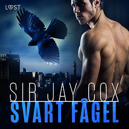Cox, Sir Jay - Svart fågel - erotica supreme, audiobook