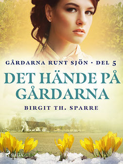 Sparre, Birgit Th. - Det hände på gårdarna, ebook
