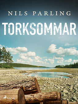 Parling, Nils - Torksommar, ebook
