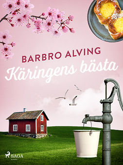 Alving, Barbro - Käringens bästa, ebook
