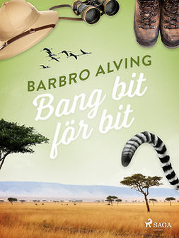 Alving, Barbro - Bang bit för bit, ebook