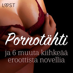 Bech, Camille - Pornotähti ja 6 muuta kiihkeää eroottista novellia, äänikirja