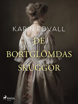 Edvall, Karin - De bortglömdas skuggor, e-bok