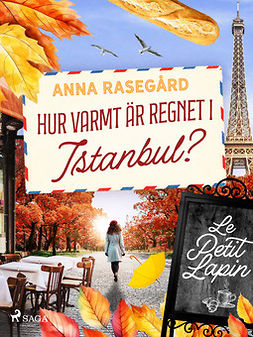 Rasegård, Anna - Hur varmt är regnet i Istanbul?, ebook