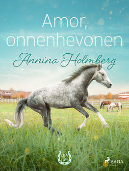 Holmberg, Annina - Amor, onnenhevonen, e-kirja