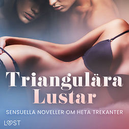 Stigsdotter, Saga - Triangulära Lustar: Sensuella noveller om heta trekanter, audiobook