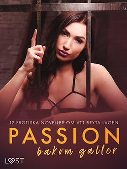 Bech, Camille - Passion bakom galler: 12 erotiska noveller om att bryta lagen, ebook