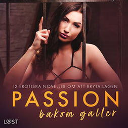 Bech, Camille - Passion bakom galler: 12 erotiska noveller om att bryta lagen, audiobook