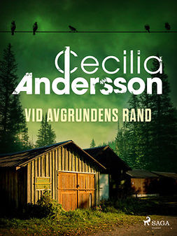 Andersson, Cecilia - Vid avgrundens rand, ebook