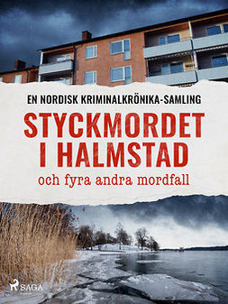 bidragsydere, Diverse - Styckmordet i Halmstad och fyra andra mordfall, ebook