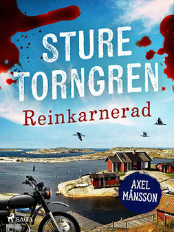 Torngren, Sture - Reinkarnerad, ebook