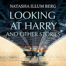 Berg, Natasha Illum - Looking at Harry and Other Stories, audiobook