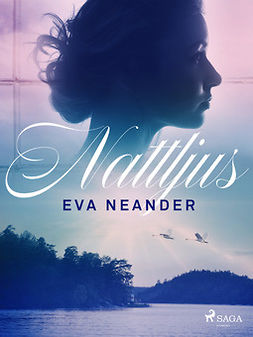 Neander, Eva - Nattljus, ebook